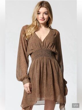 Fate Leopard Print Long Sleeve Dress